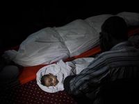 3 Minik Çocuğa Kıydılar! Şehit Sayısı 339 Oldu!