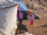 Mayınlı Arazide Yaşam Mücadelesi