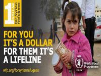 1 Dolar Bu Ayıbı Örter mi?