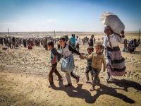 En Büyük Kamp Kobanililer İçin Kuruluyor