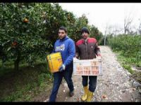 Antalya’daki Suriyeliler Gitmek İstemiyor