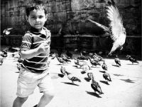 “Kuş Olsam, Halep'e Uçmak İsterdim” (Fotoğrafya)