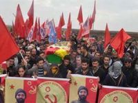 Kobani'den Cenaze Üstüne Cenaze Geliyor