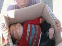 Soğuktan Donarak Yitirilen 36 Yaşam (FOTO)