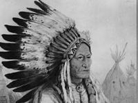 Kızılderililerin Dilinden: “Bir Gün İnsanlık…”