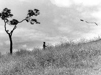 Sonsuz Düş (ŞİİR)