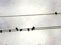 Tarafınız Belli Olsun!