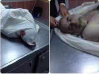 PKK Tarafından Katledilen Şener'in İddianamesi Kabul Edildi