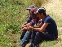 Êzidilere PKK Baskısı