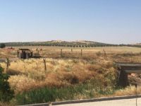 IŞİD Suriye Sınır Hattına Mayın Döşedi