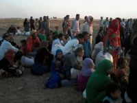 Sığınmacılar Sırbistan Sınırında Açlık Grevine Başladı