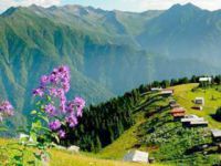 Yeşil Yol Projesi İçin İmza Kampanyası