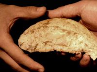 "Fıtır Sadakası (Fitre)"