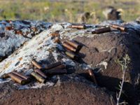 PKK Kulp İlçe Emniyet Müdürlüğü Binasına Tâciz Ateşi Açtı