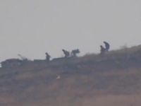 Fetih Ordusu'nun Baskınından Rejim Güçlerinin Kaçısı! (Video, Fotoğraf)