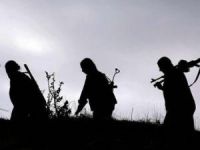 6 PKK Militanı Güvenlik Güçlerine Teslim Oldu