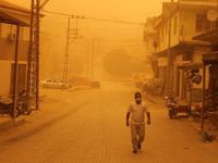 Hatay ve Gaziantep Sarıya Büründü