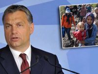 Faşist Başbakandan İnsanlığı Utandıracak Açıklama