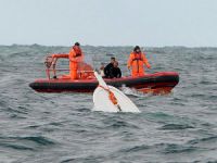 Edirne'nin Enez İlçesinde Göçmenleri Taşıyan Bir Tekne Battı