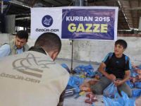 Kurbanlarımız Gazzeli Muhtaçlar İçin Gazze’de Kesildi