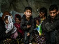 "Sadece İstanbul'da Tüm Avrupa'dan Daha Fazla Mülteci Var"