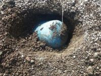 Polatlı'da 100 Kilogram Patlayıcı Ele Geçirildi