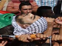 Batı Şeria’daki Direniş Hücreleri: Başarı ve Başarısızlık Sebepleri