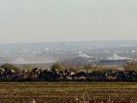 Direnişçiler Kara Mezra Köyünü Geri Aldı