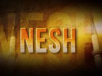 Kur’an’da Nesh Olan Ayetler Var Mıdır?