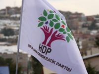 HDP'de Yeni Anayasa Çatlağı