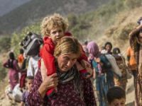 Rojava, Çözüm Süreci, Holist Yaklaşım