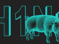 Türkiye’de 57 Kişi Domuz Giribinden Öldü