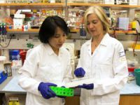 İngilizler İnsan Genleriyle Oynayacak