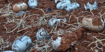 Esed ve Rusya Humus'a Misket Bombasıyla Saldırdı!