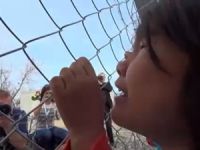 Afganistanlı Kız Çocuğunun Tel Örgüleri Aşan Çığlığı!