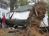 ABD'de Kasırga: 6 Kişi Hayatını Kaybetti