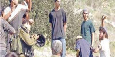 Yahudi çeteler El-Halil’de bir yaşlı kadınla oğullarını yaralayarak 30 koyunu çaldı