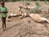 Etiyopyalı Müslümanlar Açlıktan Ölmeye Başladı