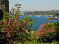 Eski İstanbul Daha mı Yeşildi?