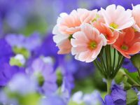 Sirra Büyük ile Ali Sağıroğlu Kardeşlerimiz Evlendi