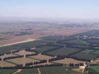 Arap Birliği'nden İsrail’e 'Golan Tepeleri' Tepkisi