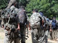 PYD: ABD, PKK’yı Suriye’de İstiyor