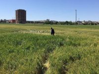 Kilis'e 2 Roket Mermisi Daha Atıldı