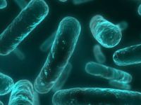 Antibiyotik Dönemi Tehlikede