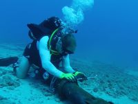 Atlas Okyanusu'na İnternet Kablosu Çekilecek