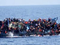 Akdeniz'de Yaşam Savaşı