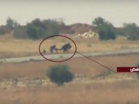 Fetih Ordusu, Halep'te Operasyonlarına Devam Ediyor