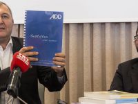 Almanya'da Türkiye Kökenliler Parti Kuruyor