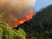 HDP, Antalya’daki Orman Yangınını Kirli Siyasetine Alet Etti