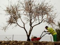5 Milyon İşsiz Var, Çalışacak İnsan Yok